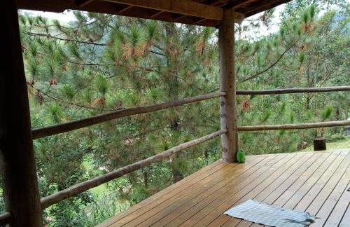 Chácara das Araucárias - Foto 31