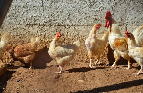 Azienda Agrituristica Caridà - Foto 112