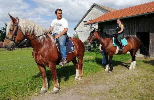 Ponyhof Adam Urlaub auf dem Bauernhof - Foto 35