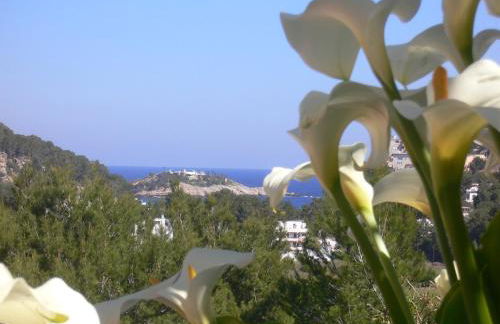 Hotel Rural Can Maries - Foto 50