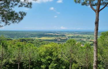 Le Pinetine - Foto 35