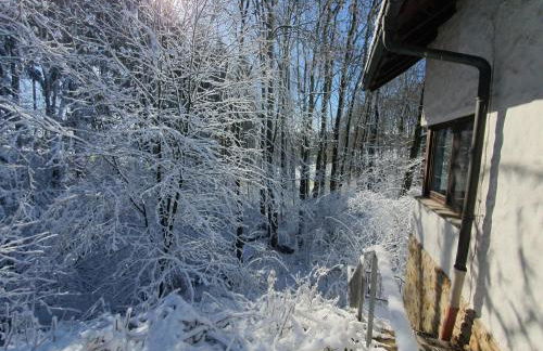 FeWo Harling - Waldoase - Foto 36