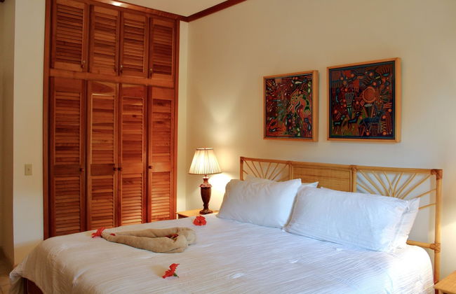 Tara Del Sol - Photo 19