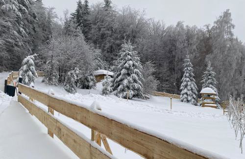 Domki pod Kamionna - Photo 51