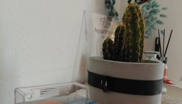 Apartment Sun & Sea - Casa Vacanze Vista Mare - Photo 2