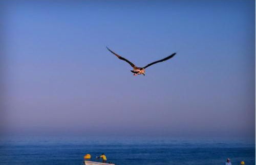 Lovely Estrela Vau Apt - Swimming pool view - Foto 26