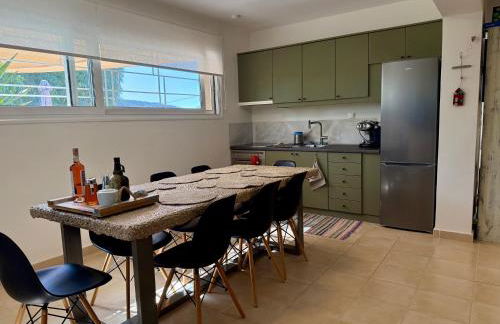 Aeolos beachfront family residence - Foto 10