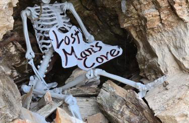 Bear Den on Lake Ouachita 2BR Condo at Mountain Harbor Resort - Foto 67