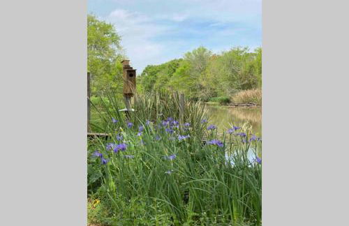Experience Louisiana, Cabin on Bayou Petite Anse - Foto 38