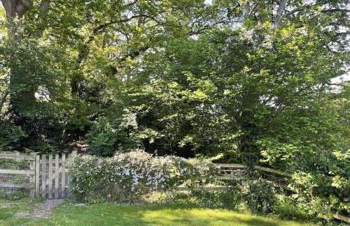 Little Patch - Foto 41