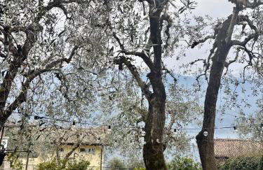 Patty's Lemonhouse - Foto 2