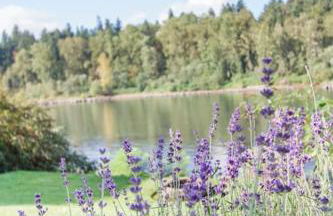 Milwaukie Riverfront Guest House - Foto 17