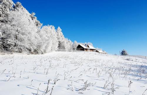 Dom na Kamieńcu - Photo 51