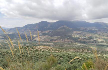 Divertida y Romántica - Foto 37