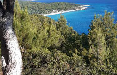 Studio Wilem - Foto 55