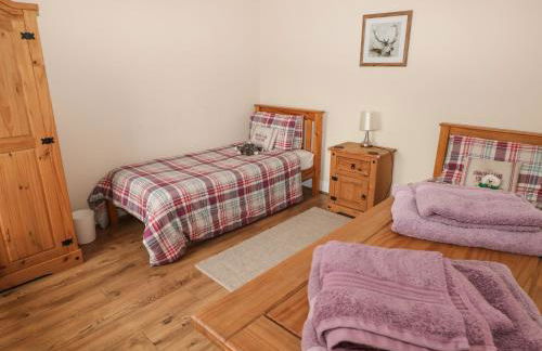 Llygad Yr Haul Sun - Foto 25