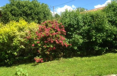 Ferme restaurée avec jardin clos et terrasse, proche Puy en Velay - FR-1-582-271 - Foto 17