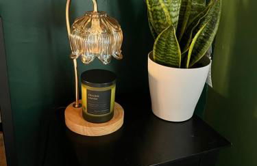 Cozy apartment Liverpool NY - Foto 9