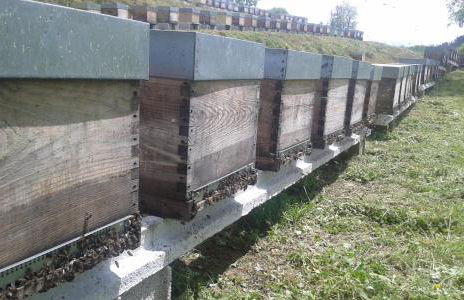 Apimonte Casa do Pascoal - PN Montesinho - Foto 67