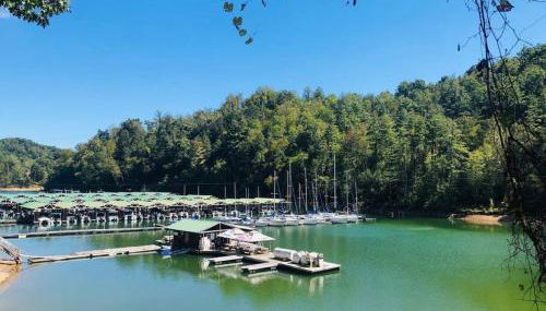 Cabin at the cove at Watauga Lake - Foto 4