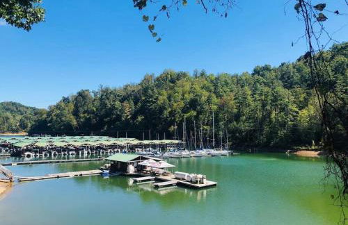 Cabin at the cove at Watauga Lake - Foto 4