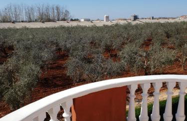 apartma Jelka - Foto 24