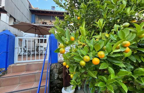 Alborada Apartamentos Rurales - Foto 25