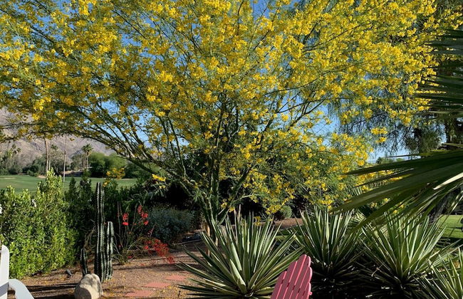 Villa Vista - Spanish Luxury Pool Wifi - Photo 77