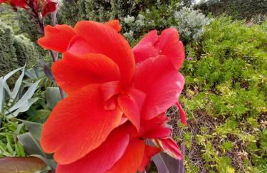 Sítio da Assumada - Foto 48