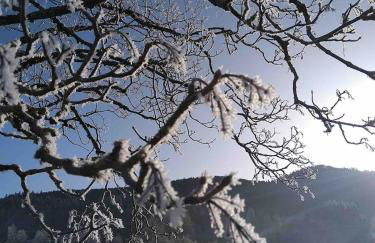 Chalet am kleinen See - Foto 7