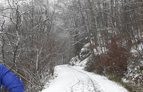 Gite Vallée et Semoy - Foto 10