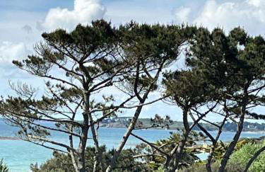 STUDIO Vue Mer plage immédiate - Foto 7