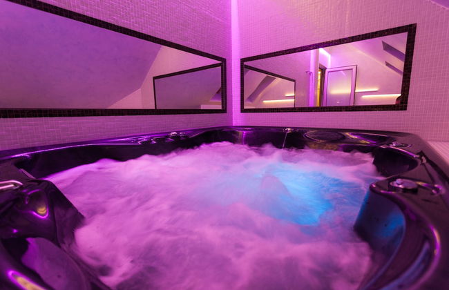 Vila Barović and Spa - Foto 42