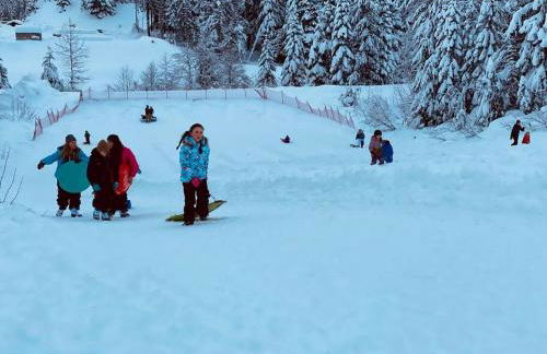 Walk-In Skiing/Tubing Across at Summit East - Foto 26