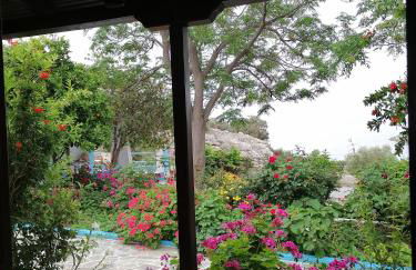 Studios Ioanna Limnionas Samos - Foto 67