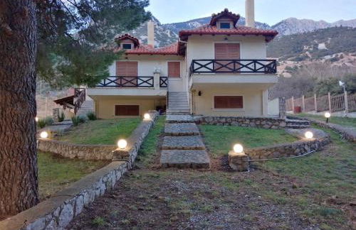 View suites - Foto 20