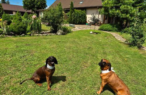 Agroturystyka „Między Polami” - Foto 38