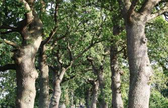 Villa Düne -Penthousewohnung WE 18 - Foto 42