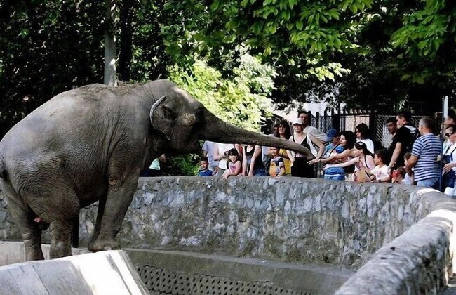 Apartment Manufactura - Foto 25