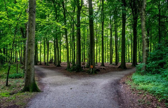 Chalet in Kijkduin With Sauna & Comfort - Photo 34