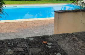 Podere Il Cerrone app Romilda con piscina - Foto 10