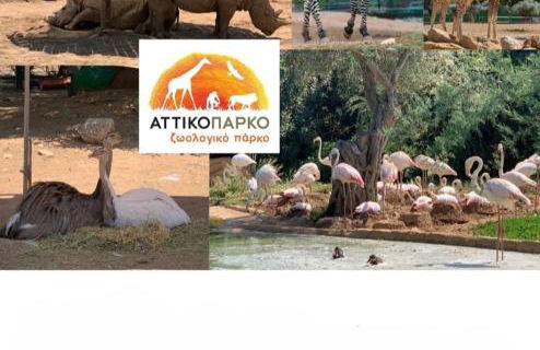 Luxury apt near the airport N2 - Photo 25