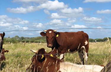 Hafencity Apartments - Foto 18