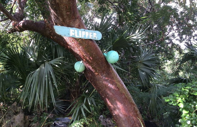 Flipper Refuge 2 Bedroom Cottage - Foto 18