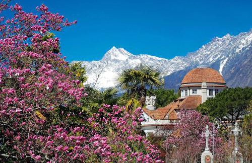 Residence Kronstein - Fewo 8 - Foto 4