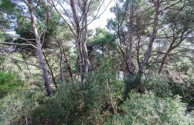 Apartments Limuni - Foto 70