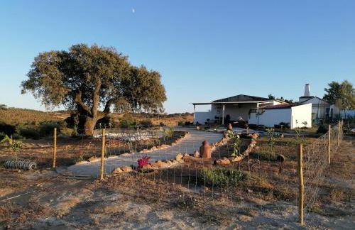 Monte Beatriz - Foto 1