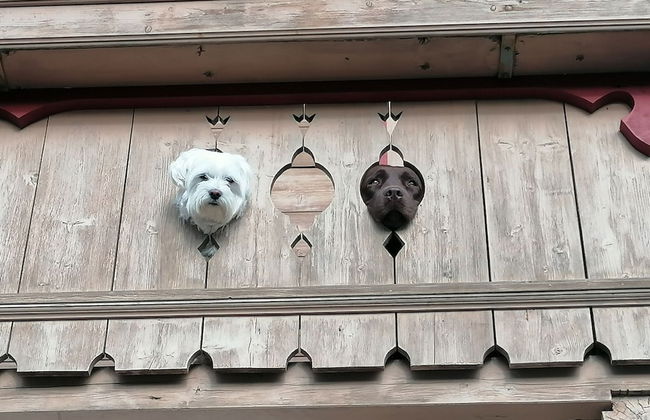 Apartment in Walchen Near Ski Slopes - Foto 14