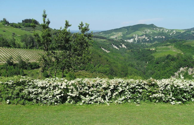 Belvilla by OYO Il Gelso - Foto 38