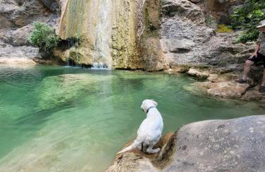 Lovely traditionnal house with sea view - Photo 59